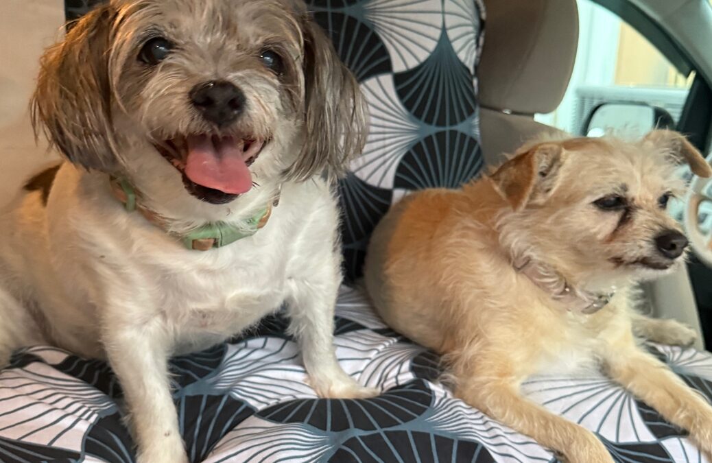 Nomad Travels – Pursuit:  Inspiration